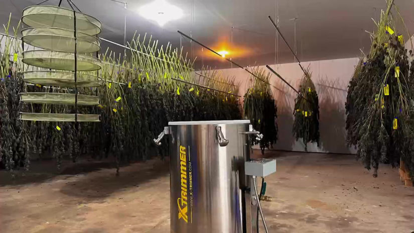 Trimming